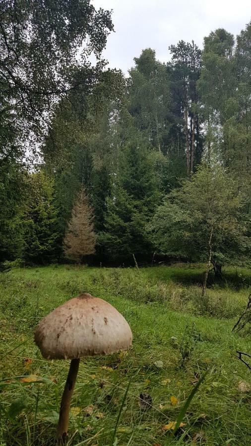 Przystan Kapitanat Appartement Szczecinek Buitenkant foto